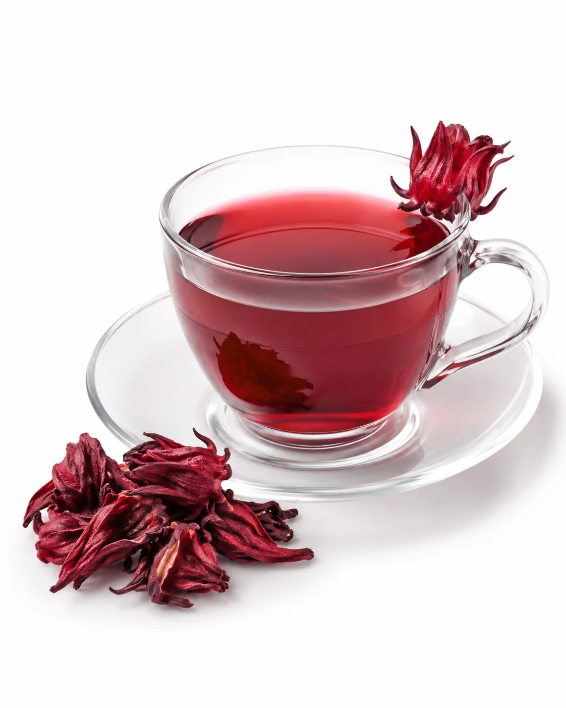 Hibiscus Flower